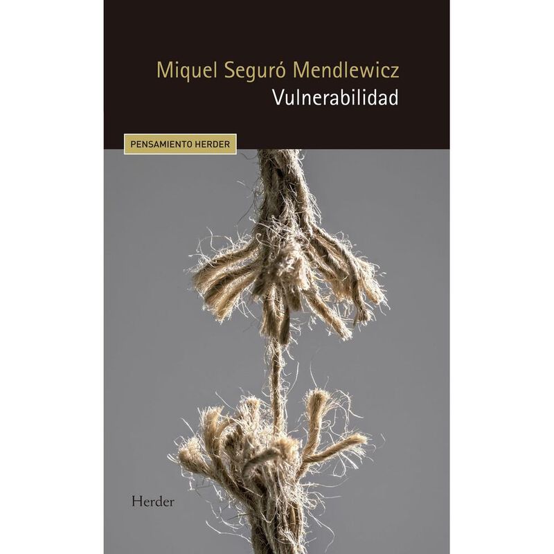 Vulnerabilidad image number null