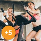 Titular +5 Agregado Gama B