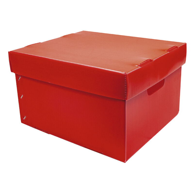 Caja de Pl&aacute;stico Corrugado para Empaque 30x25x1... image number null