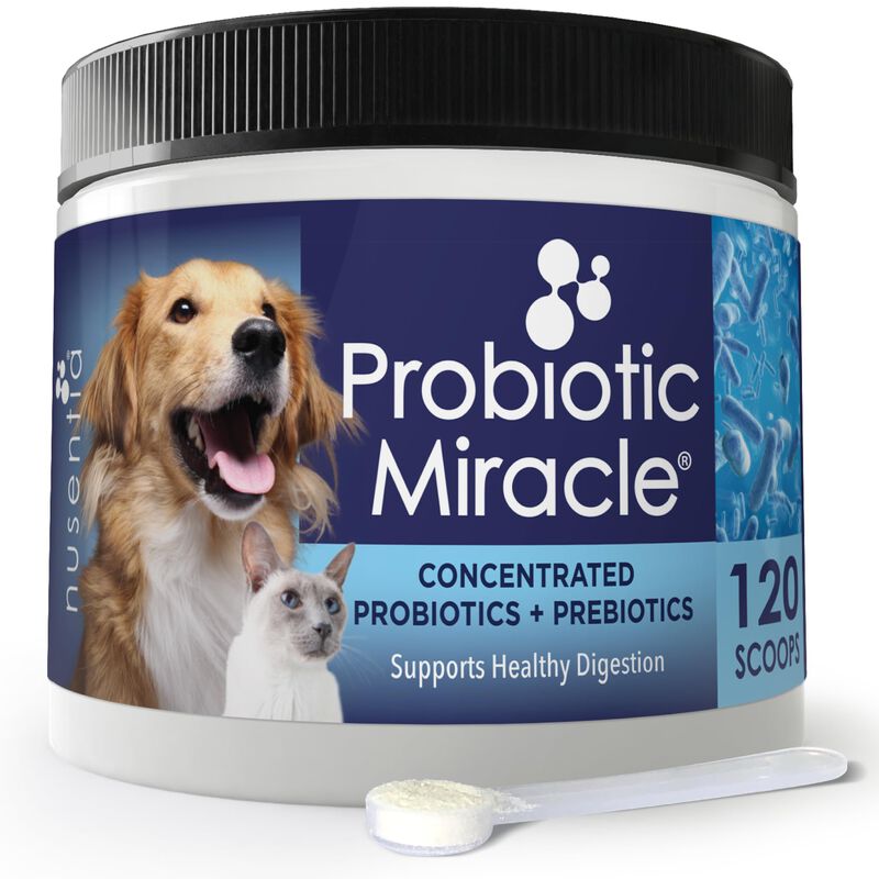Probiotic Miracle Probi&oacute;ticos Para Gatos Y Perr... image number null