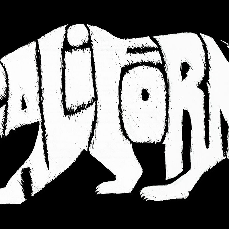 Camiseta Word Art Para Ni&ntilde;a - Oso de California... image number null