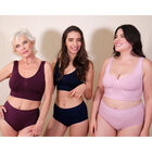 Kit 5 Pantys sin Costuras Control en Abdomen y Cintura 5 Colores M