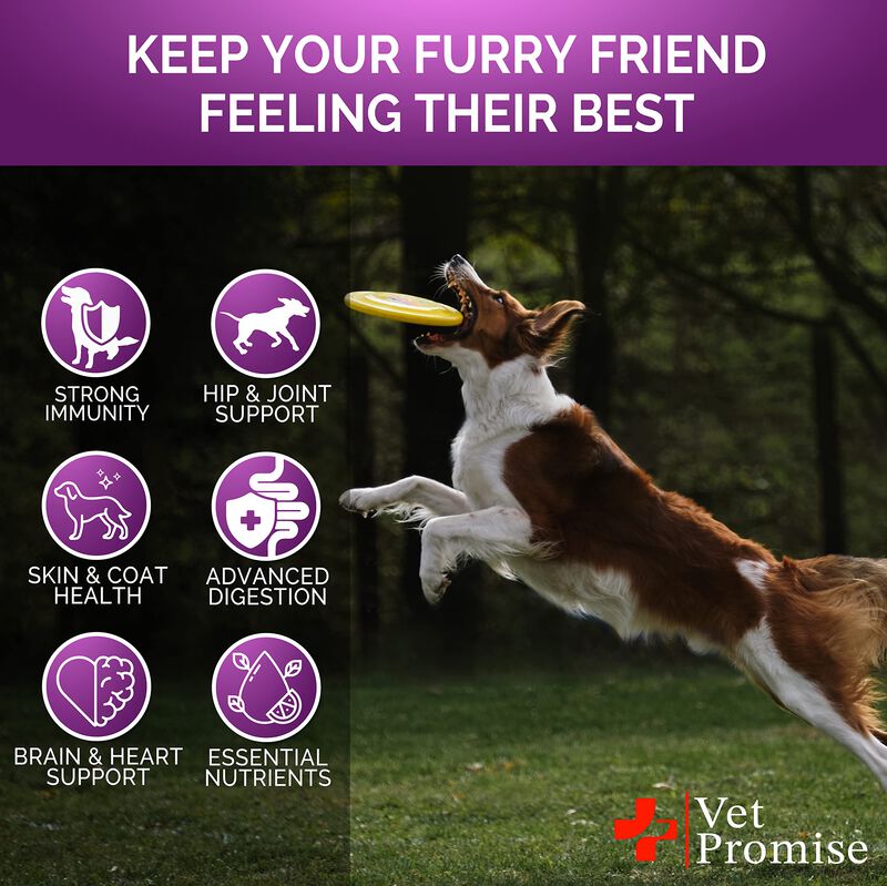 Multivitam&iacute;nico Para Perro Vet Promise 240 Comp... image number null