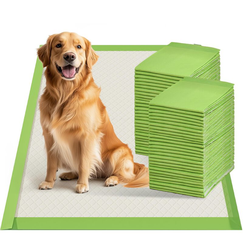 Alfombrillas Absorbentes Para Perros Gardner Pe... image number null