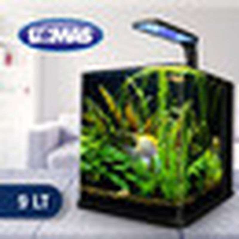 Lomas Nano Cubo Kit de Acuario Ecol&oacute;gico para E... image number null