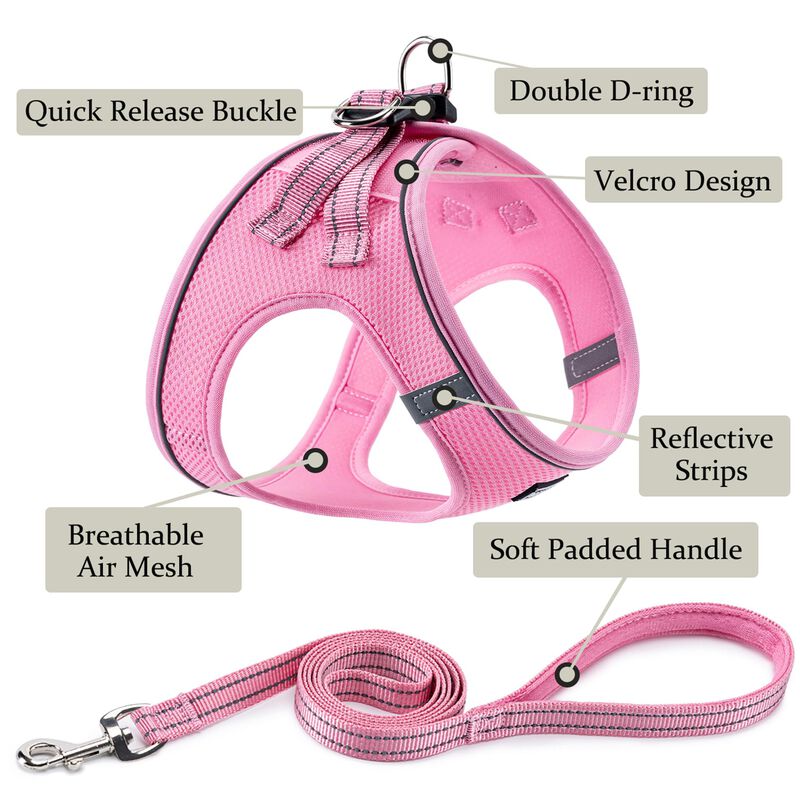 Arn&eacute;s Para Perro Boomiboo Rosa Xs De Paso Y Aju... image number null