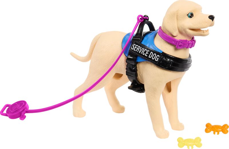 Mu&ntilde;eca Moderna Barbie Brunette Con Perro De Ser... image number null