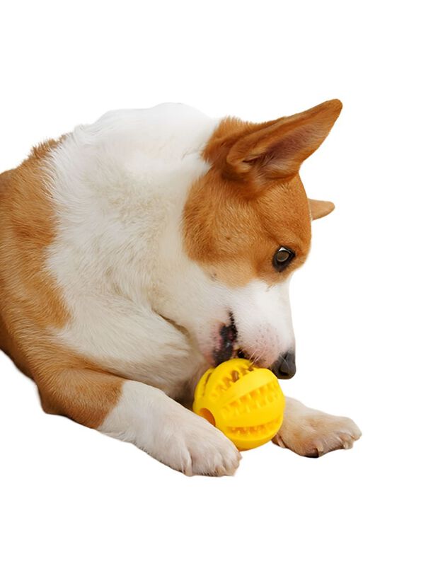 Pelota Multifuncion Para Perros Elego image number null