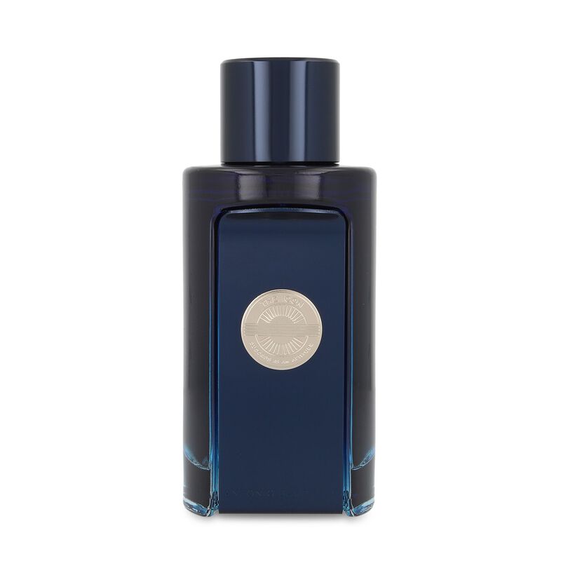 The Icon 100Ml Edt Spray image number null
