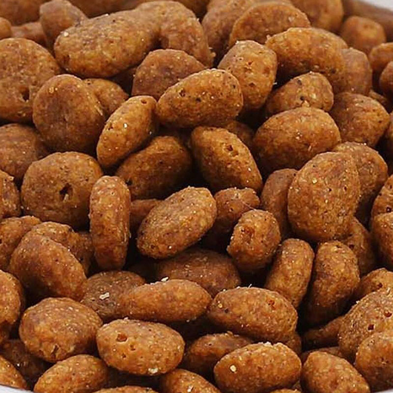 Alimento para Perros Croquetas Exceed 8 Kg image number null