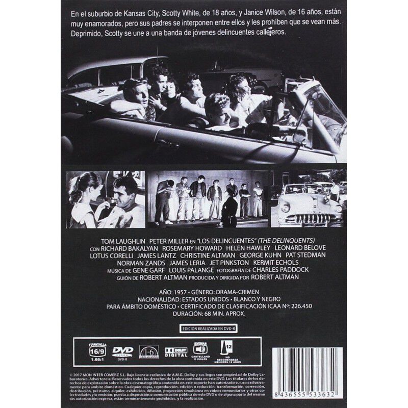 Los Delincuentes 1957 Dvd The Delinquents [dvd] image number null
