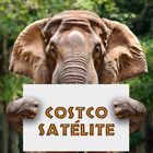 Bioparque +Transporte Incluido EDOMEX Costco Satélite, domingo 26 de octubre.