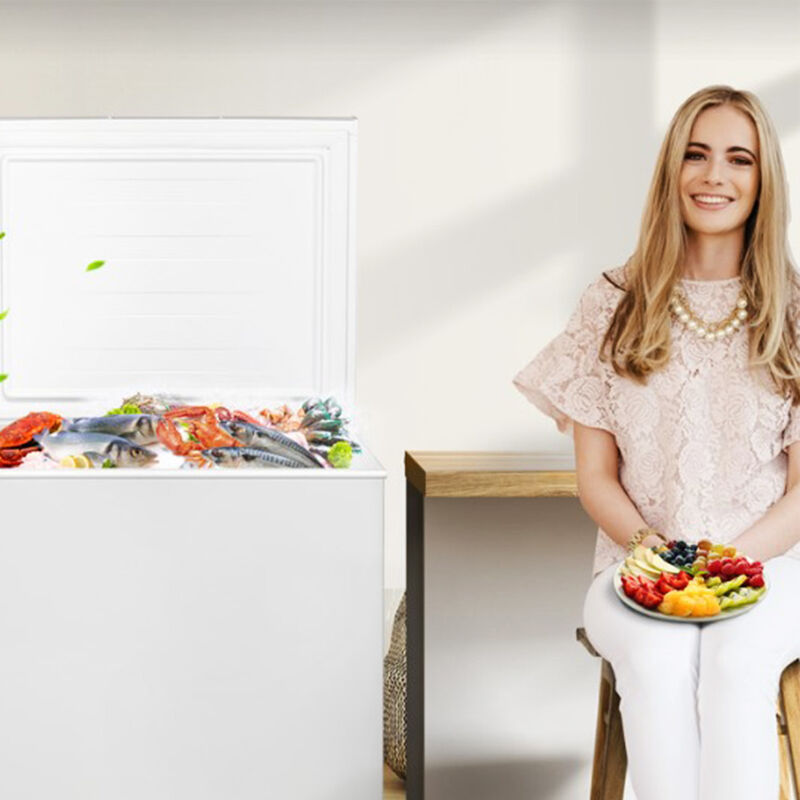 Congelador Horizontal Hisense Fc50D6Awx1 5P3 image number null