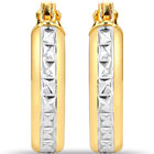 Arracadas Oro 10k Con Platinado 10 mm | Bizzarro