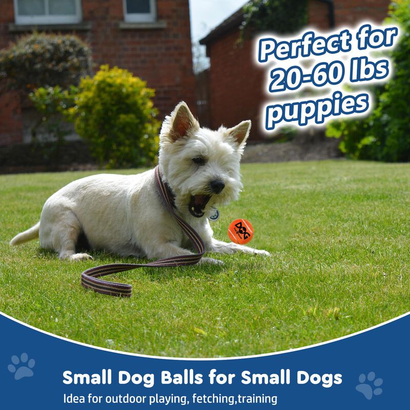 Bolas Para Perros Insum 5 cm (2 pulg.) Pack De ... image number null