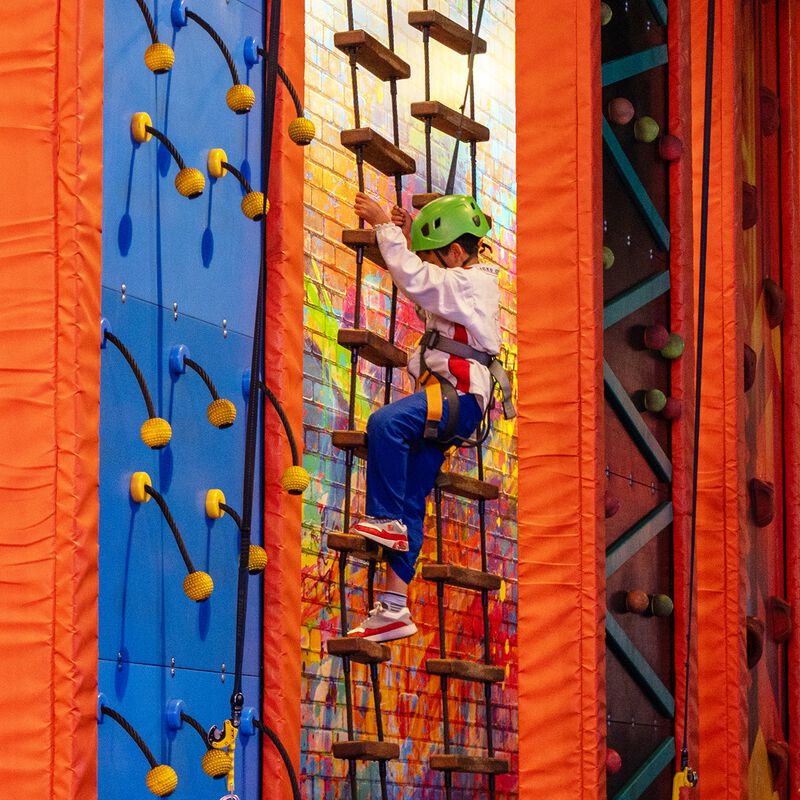 Acuario Michin image number null