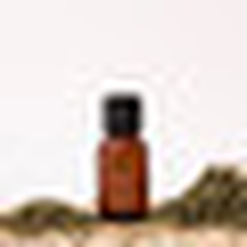 Aceite Esencial Puro Oregano 15 ml 100% Puro y ... image number null