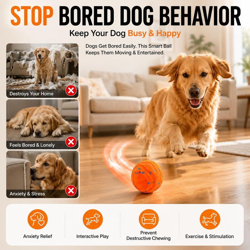 Pelota Interactiva Recargable Para Perro &ndash; 2 Mo... image number null