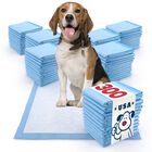 Alfombrillas Para Cachorros Valuepad 56 &times; 58 cm, 300 Unidades