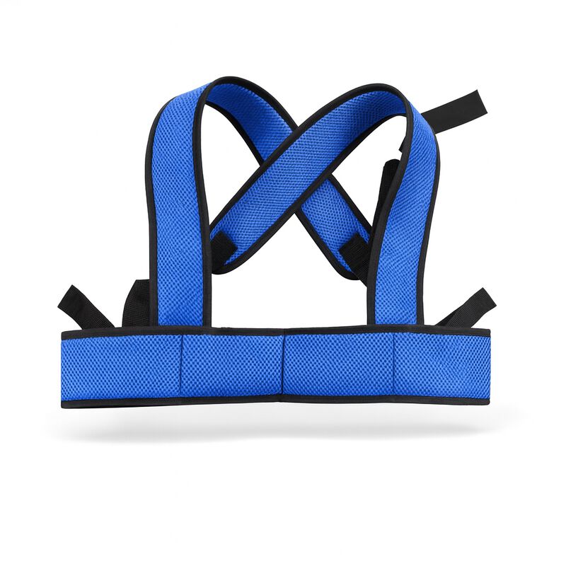 Arn&eacute;s de Seguridad para Silla de Ruedas | Cintu... image number null