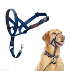 Collar De Entrenamiento Halti Talla 3 Azul Cobalto