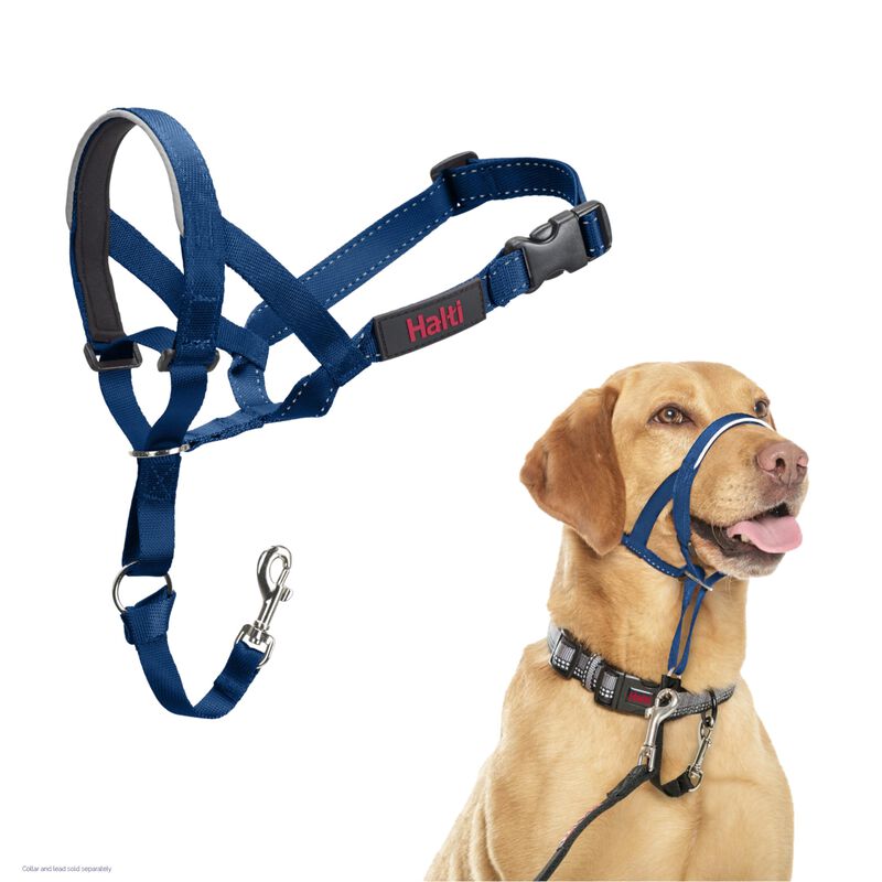 Collar De Entrenamiento Halti Talla 3 Azul Coba... image number null