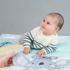 Tapete Extra Grande Koala