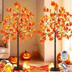 Juego De 2 &Aacute;rboles De Arce De Oto&ntilde;o De 4 Pies Con Luces Preinstaladas, 96 Led, Luces De Calabaza Y Bellotas