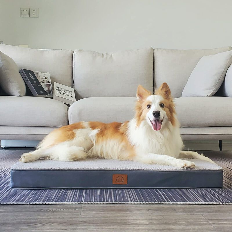 Cama Ortop&eacute;dica Para Perros Sunheir, Extra Gran... image number null