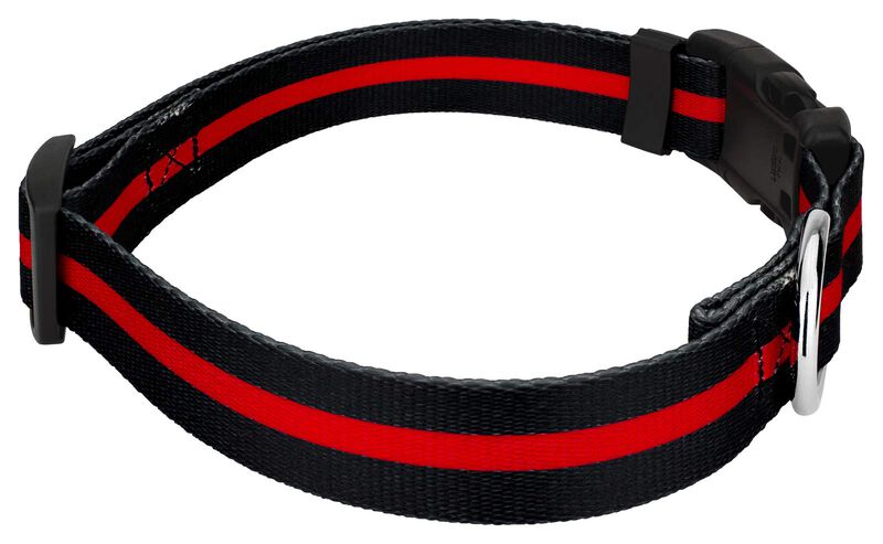 Correa Y Collar Country Brook Petz 2,5 cm L&iacute;nea... image number null