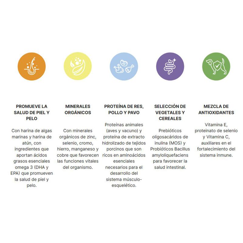 Full Life Cachorro RMYG 4 kg image number null