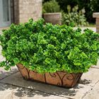 Plantas Artificiales Ivydale 12 Paquetes Resistentes A Los Rayos Uv