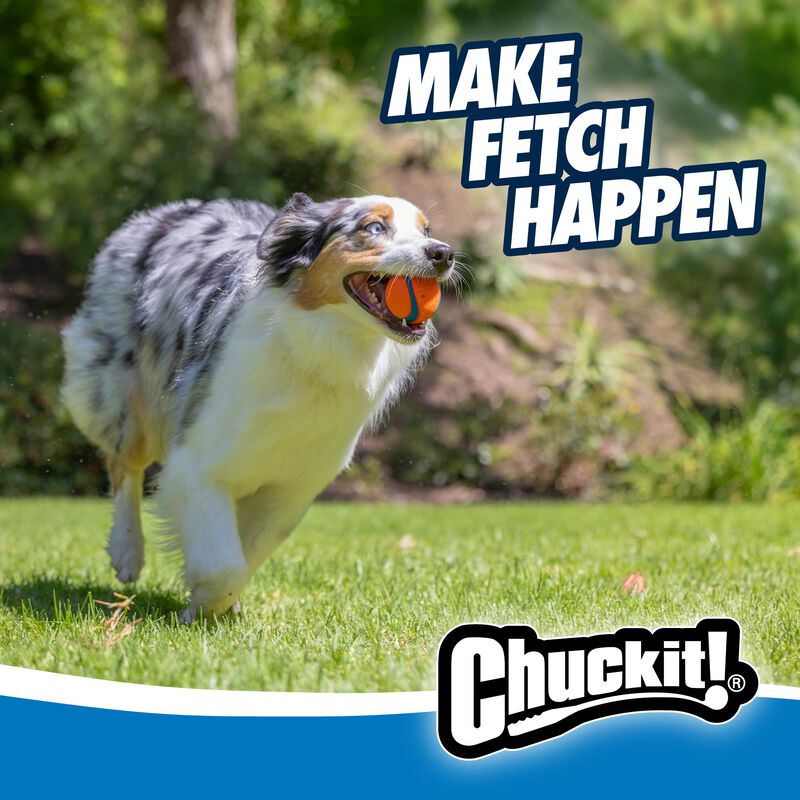 Juguete Para Perros Chuckit! Ultra Ball, Tama&ntilde;o... image number null