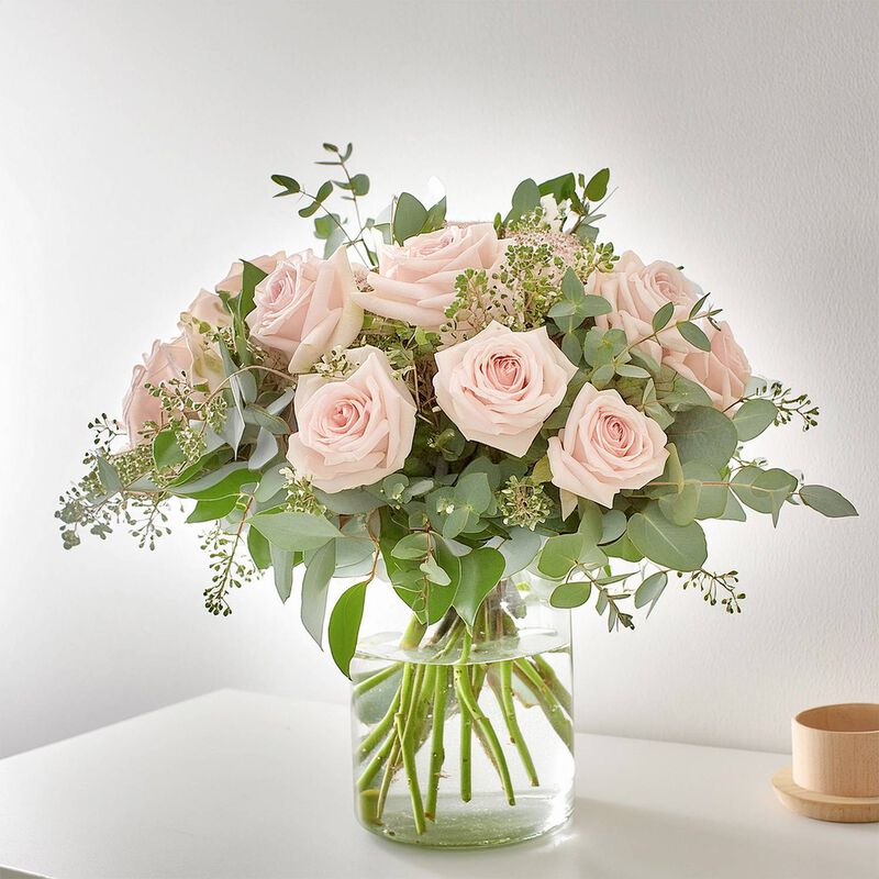 Karicia image number null