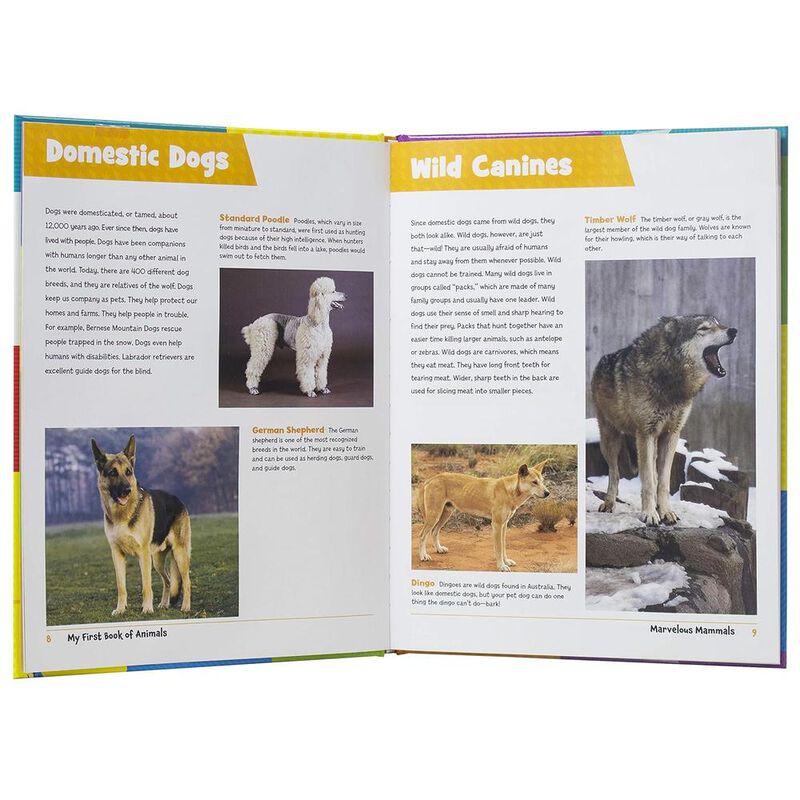 Mi Primer Libro De Los Animales image number null