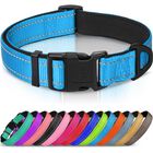 Collar Reflectante Acolchado Joytale Azul Cielo Para Perro - Talla M