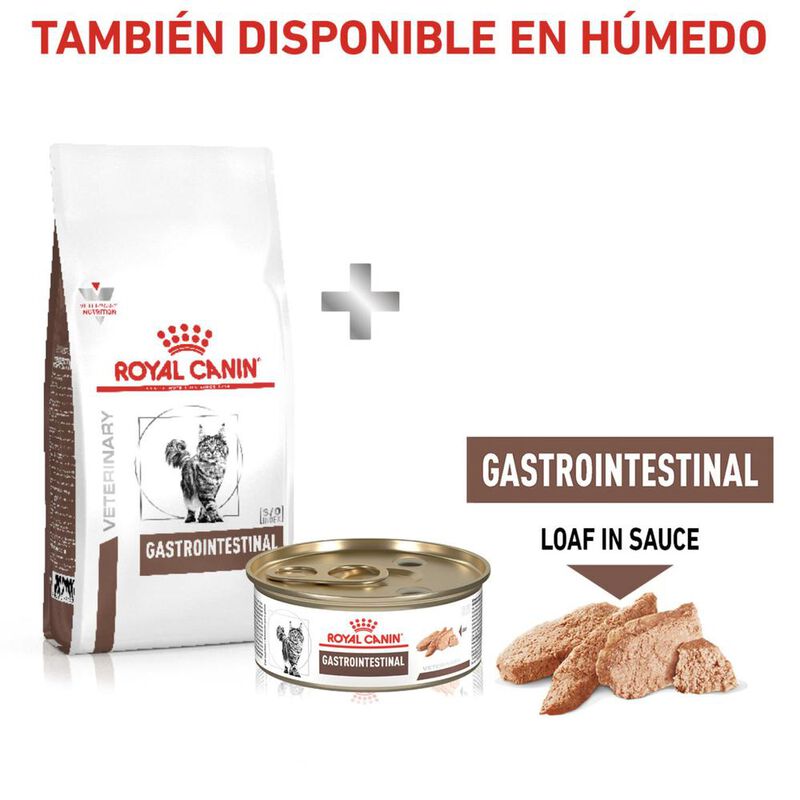 Royal Canin Gastro-Intestinal Feline 4 Kg mas P... image number null