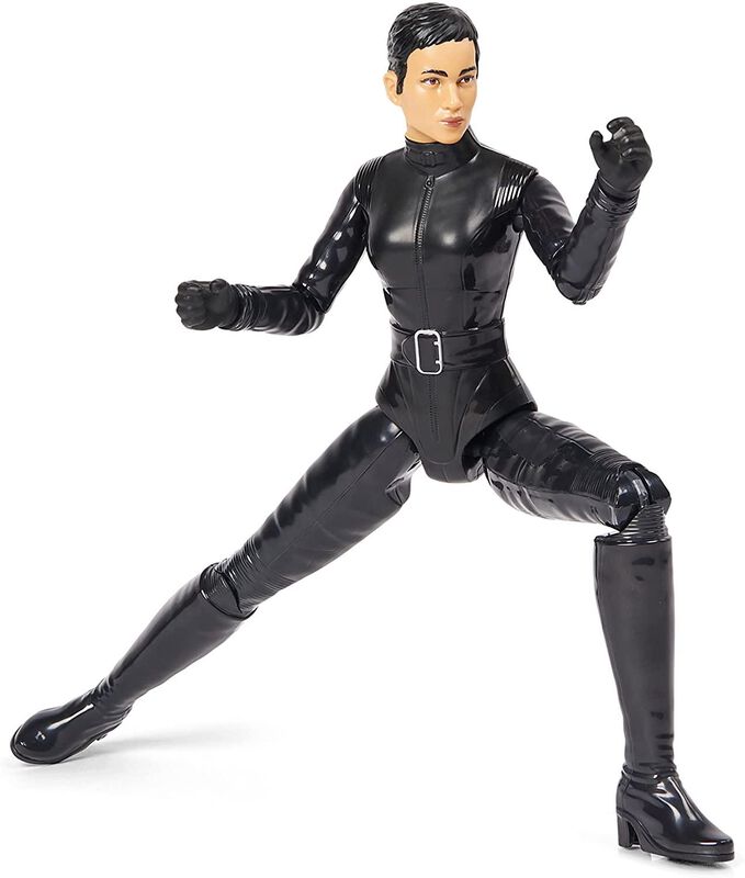 Selina Kyle, Batman, Dc Comics.figura De Acci&oacute;n... image number null