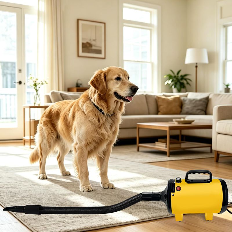 Secador De Perro Guluqi De Alta Velocidad 120v ... image number null