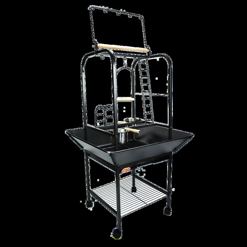 Gimnasio Para Loro image number null