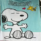 Exclusiva! Cobija Frazada Ultra Suave Snoopy Aqua