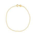 Pulsera De Oro Amarillo 14k 19 Cm 1.5 Mm | Bizzarro