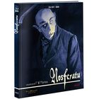 Nosferatu (Edici&oacute;n Especial) [Blu-ray] (1922) Nosferatu &ndash; Una sinfon&iacute;a del horror