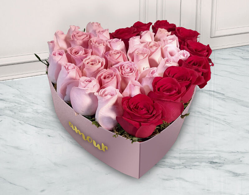 Cheesy image number null