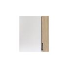 Gabinete Espejo Lucia  con Espejo en la puerta, 2 Niveles de Almacenaje