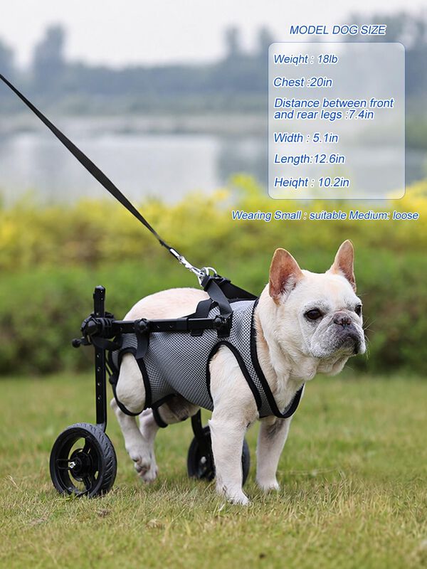 Silla De Ruedas Para Perro Becrowm Ajustable image number null
