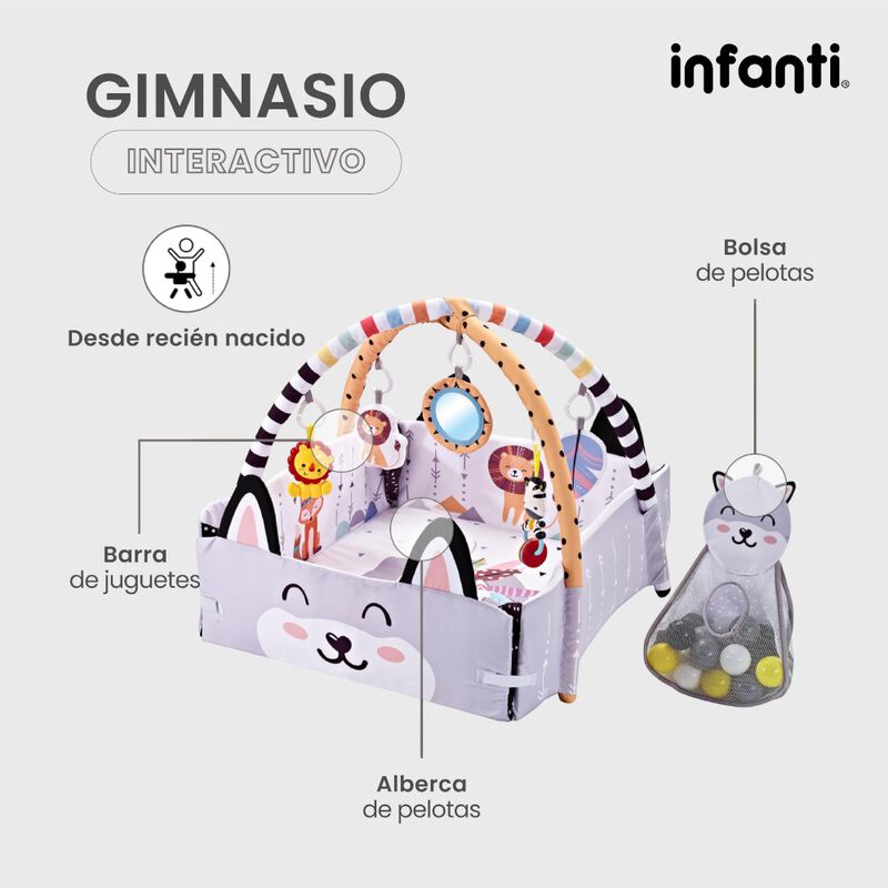 Infanti Gimnasio- Alberca  De Pelotas ''Fox'' image number null