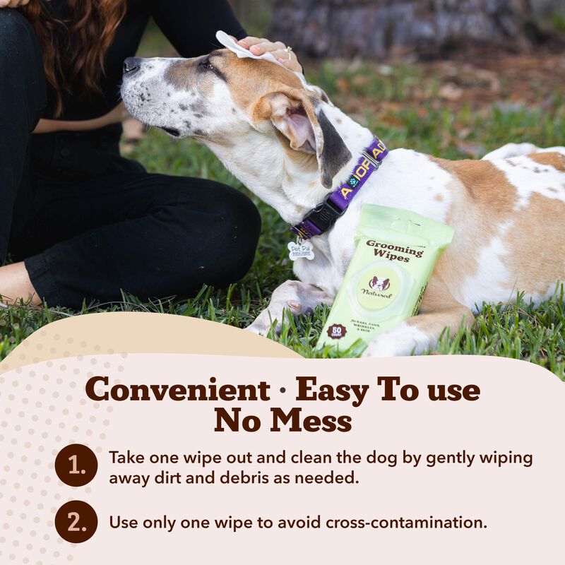 Toallitas De Aseo Natural Dog Company Con Aloe ... image number null