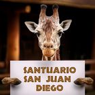 Bioparque + Transporte Incluido CDMX Santuario San Juan Diego, sábado 25 de octubre.