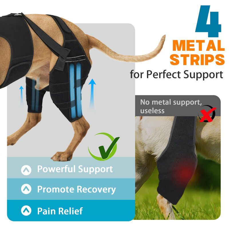 F&eacute;rula De Rodilla Para Perro Marnonsis 3xl Con ... image number null